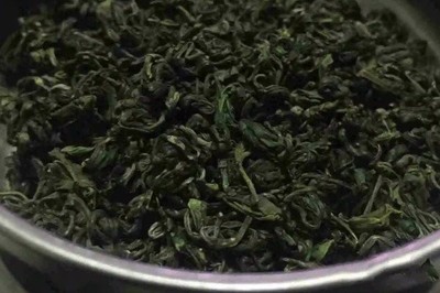 綠茶家族全解析 主要品種與高品質名茶推薦排名