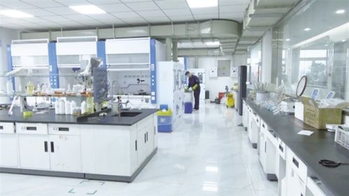 玉門以科技創(chuàng)新驅動產業(yè)創(chuàng)新，信息技術咨詢服務助推企業(yè)轉型