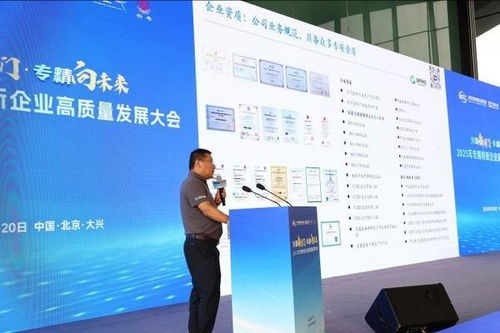 興聚新國門，專精向未來 2025專精特新企業高質量發展大會在京舉行，聚焦信息技術咨詢服務新動能