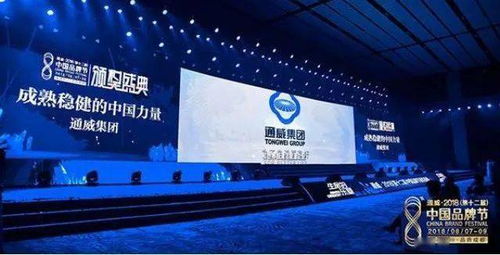 十年回首，中國光伏品牌的全球領導力之路